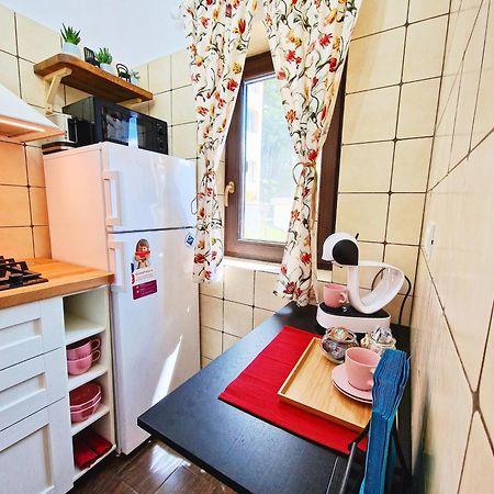 Amor Tirol Busteni (Adults Only) エクステリア 写真