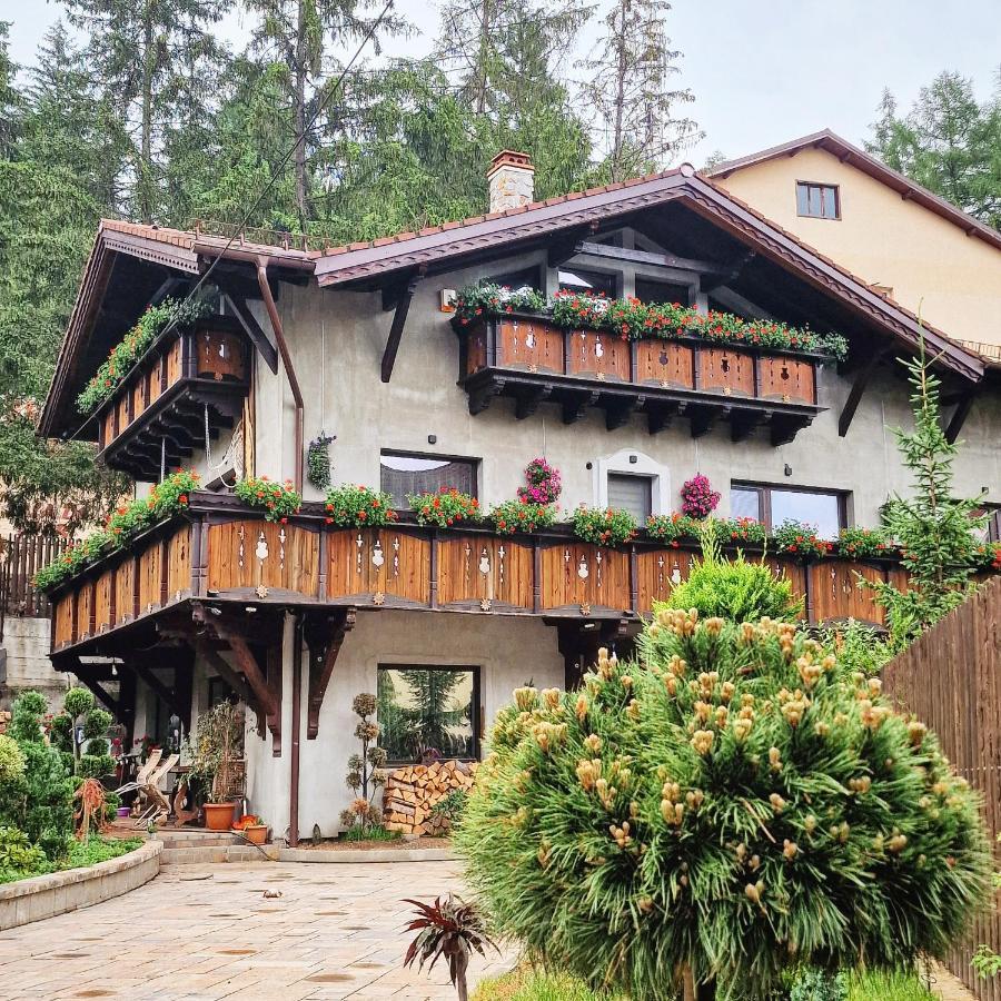 Amor Tirol Busteni (Adults Only) エクステリア 写真
