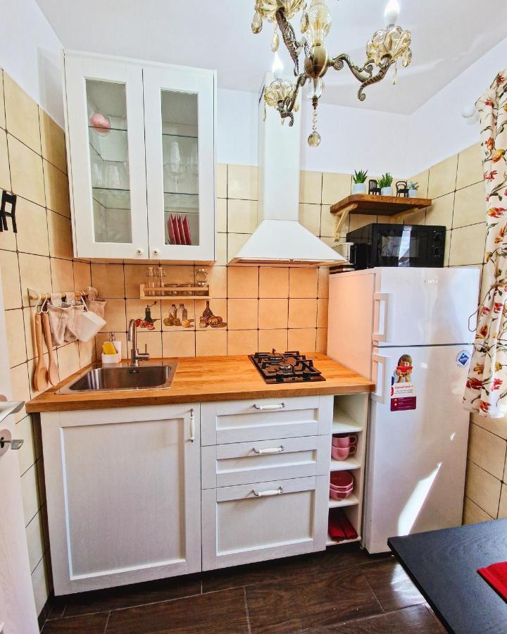Amor Tirol Busteni (Adults Only) エクステリア 写真