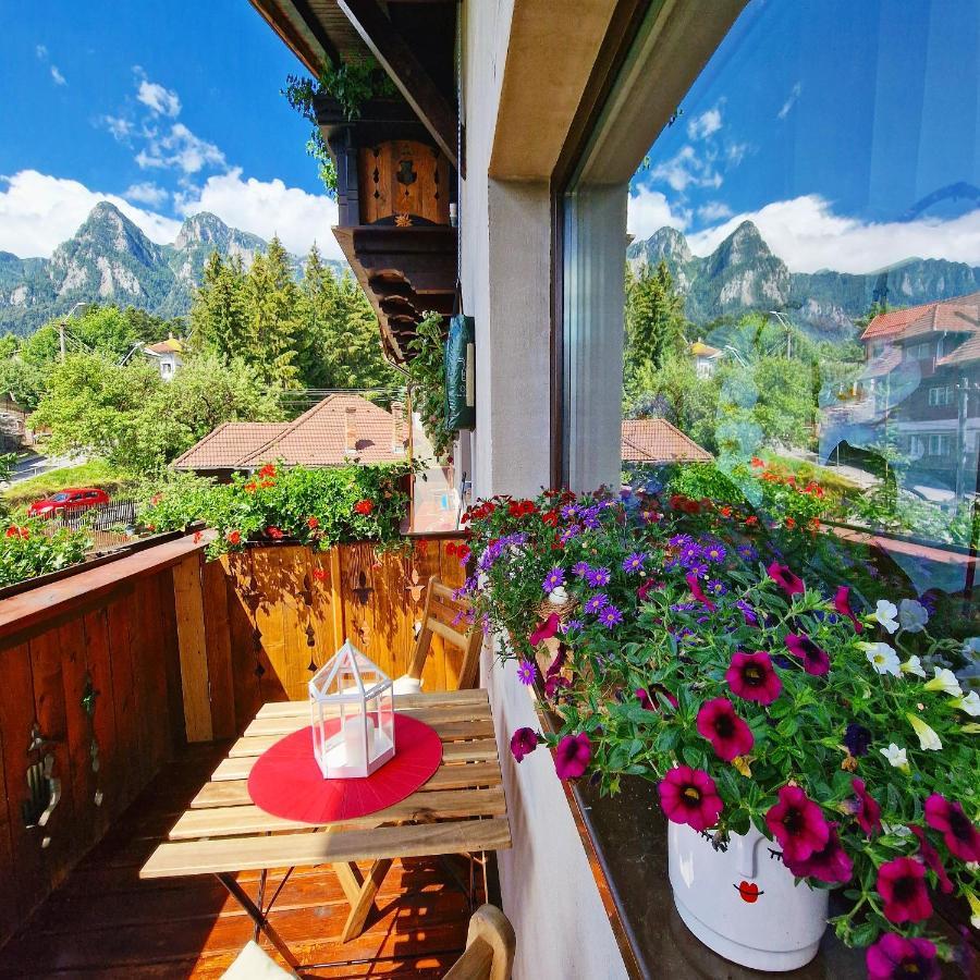 Amor Tirol Busteni (Adults Only) エクステリア 写真