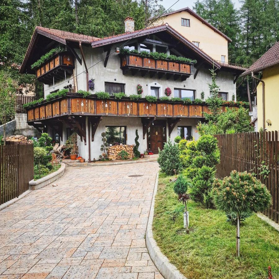 Amor Tirol Busteni (Adults Only) エクステリア 写真