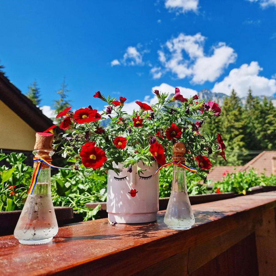 Amor Tirol Busteni (Adults Only) エクステリア 写真