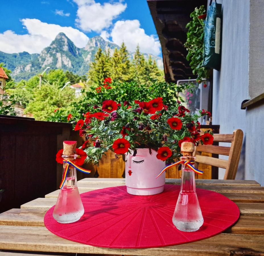 Amor Tirol Busteni (Adults Only) エクステリア 写真