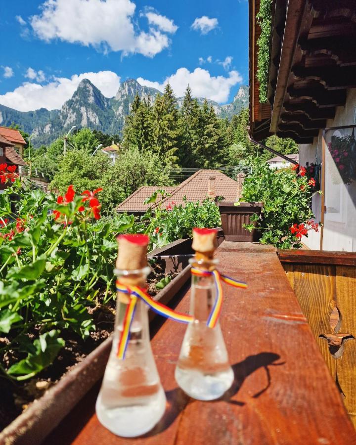 Amor Tirol Busteni (Adults Only) エクステリア 写真