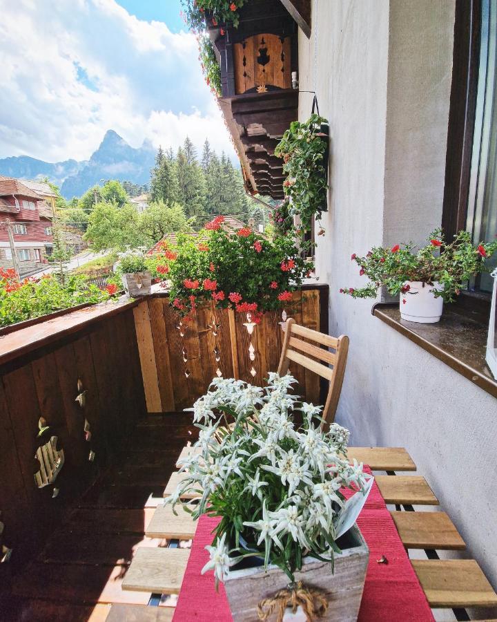 Amor Tirol Busteni (Adults Only) エクステリア 写真