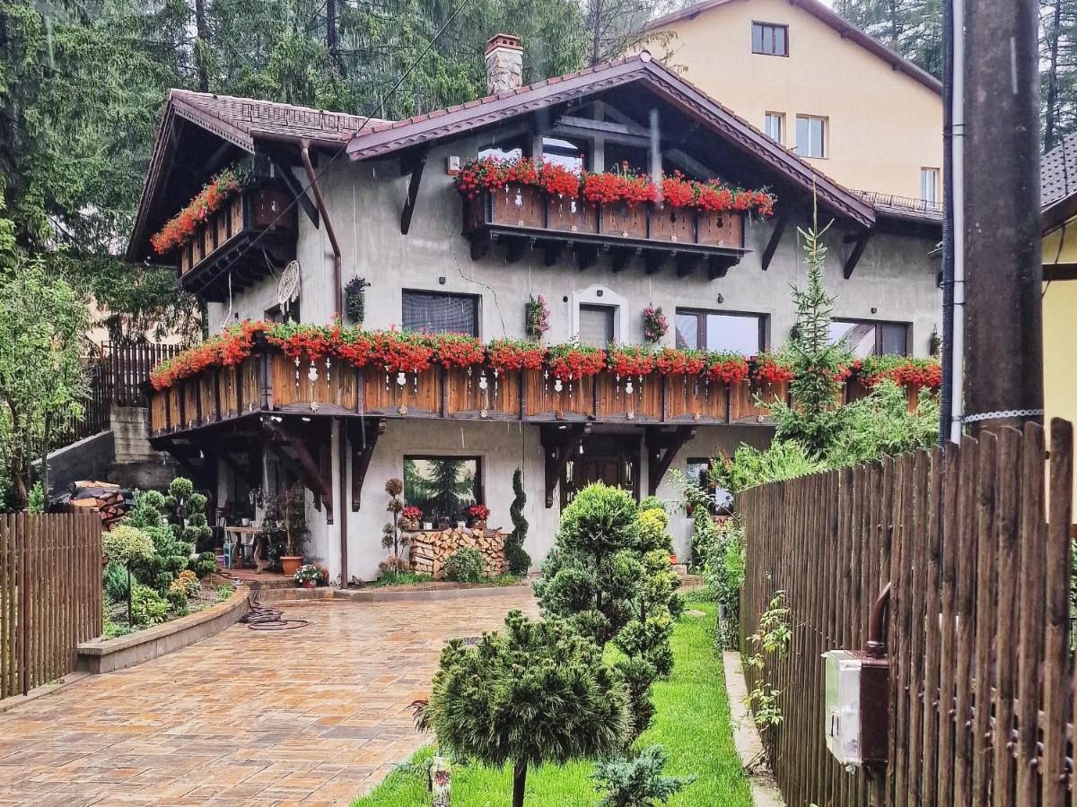 Amor Tirol Busteni (Adults Only) エクステリア 写真