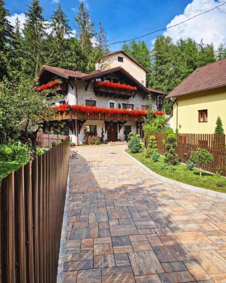 Amor Tirol Busteni (Adults Only) エクステリア 写真