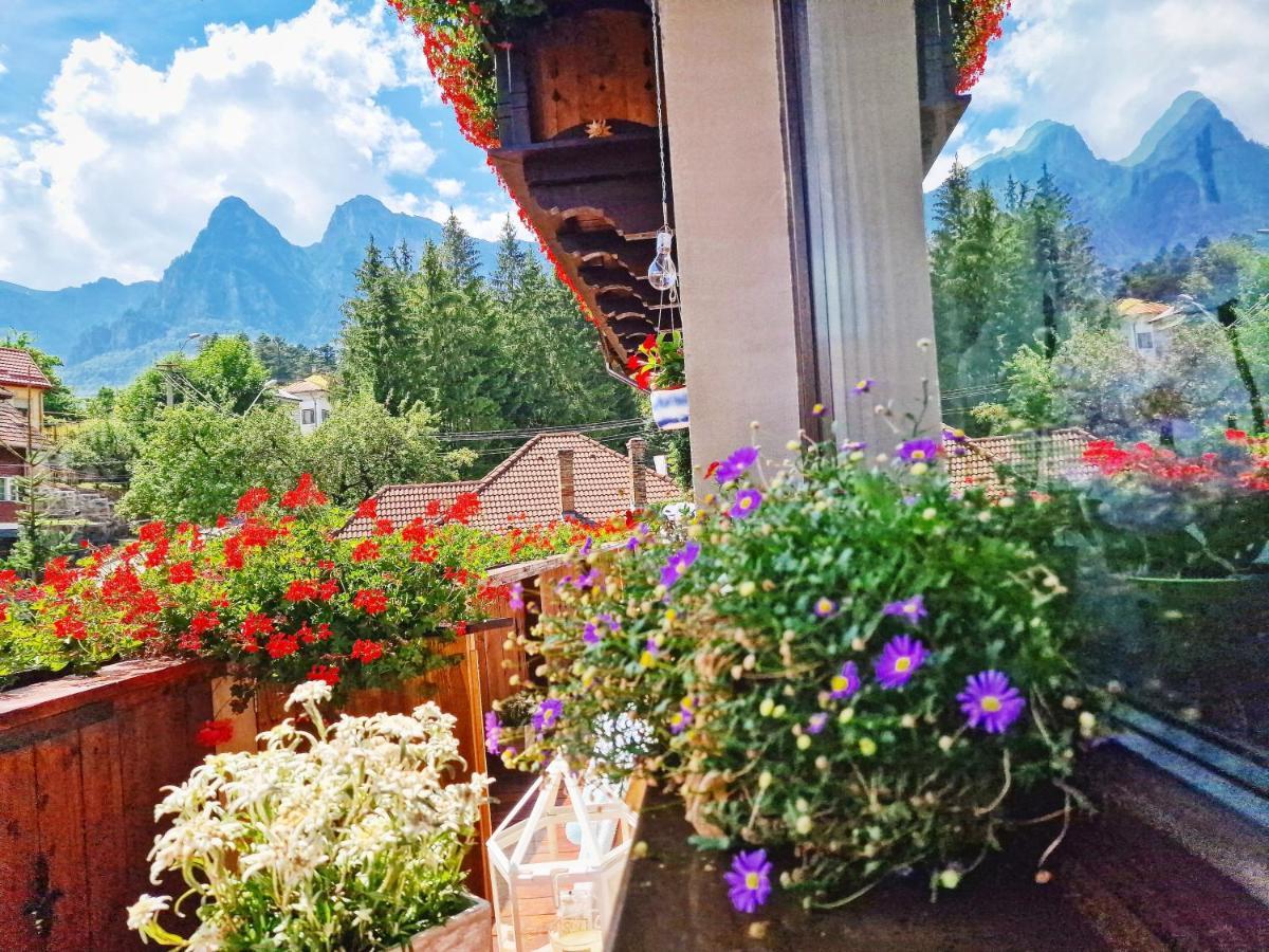 Amor Tirol Busteni (Adults Only) エクステリア 写真