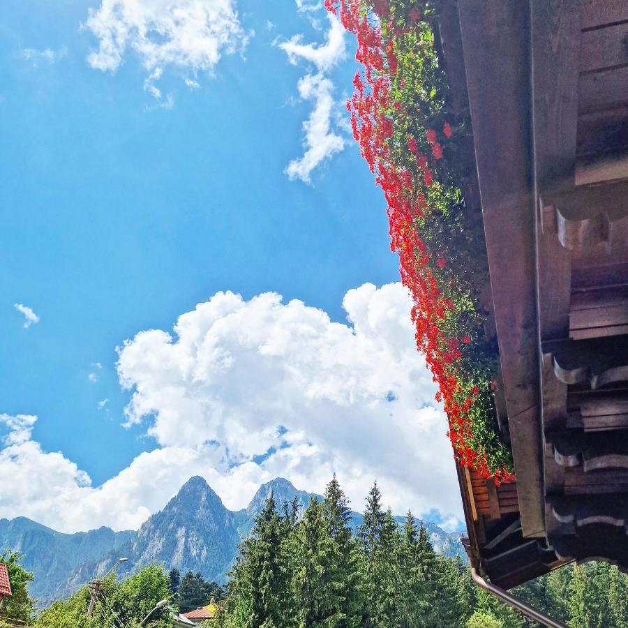 Amor Tirol Busteni (Adults Only) エクステリア 写真