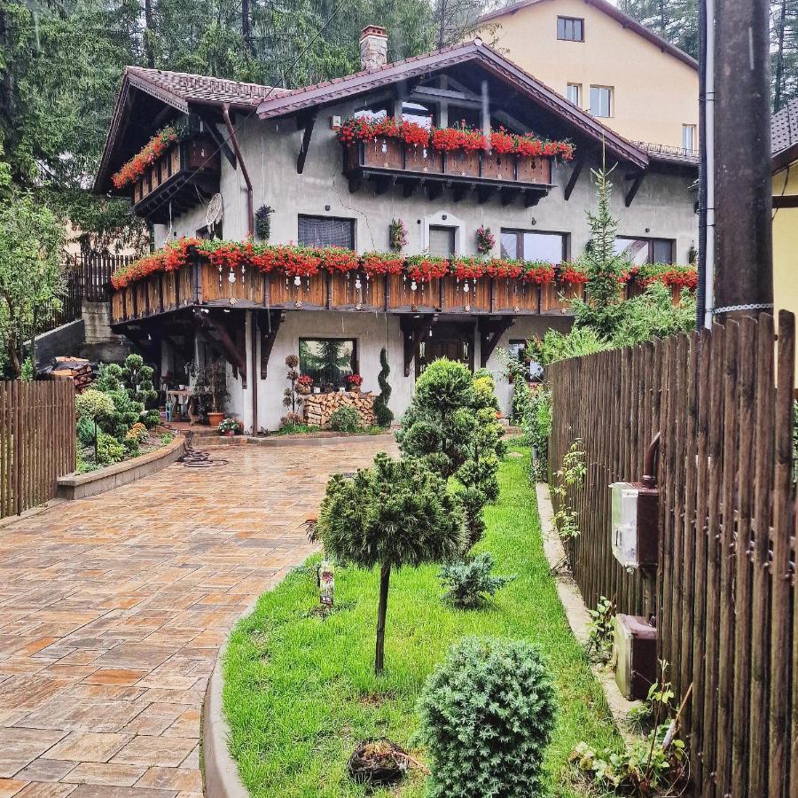 Amor Tirol Busteni (Adults Only) エクステリア 写真