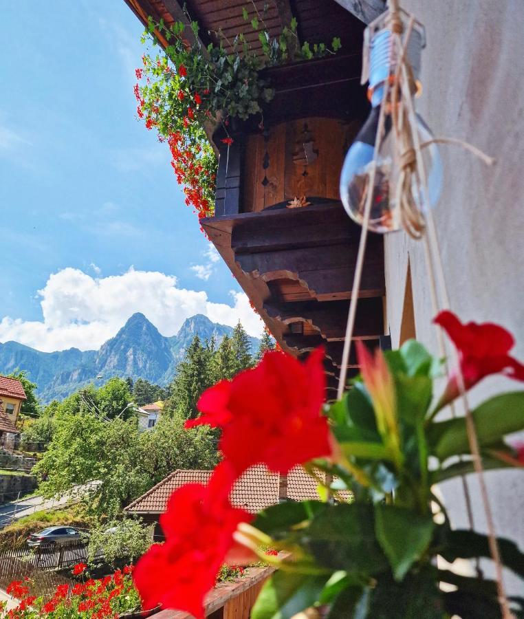 Amor Tirol Busteni (Adults Only) エクステリア 写真