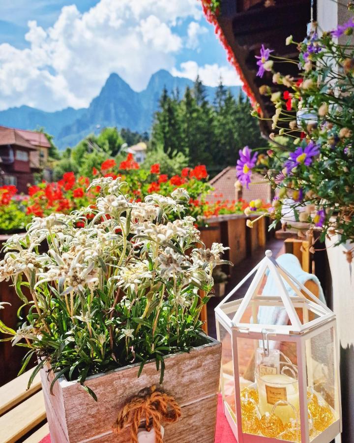 Amor Tirol Busteni (Adults Only) エクステリア 写真