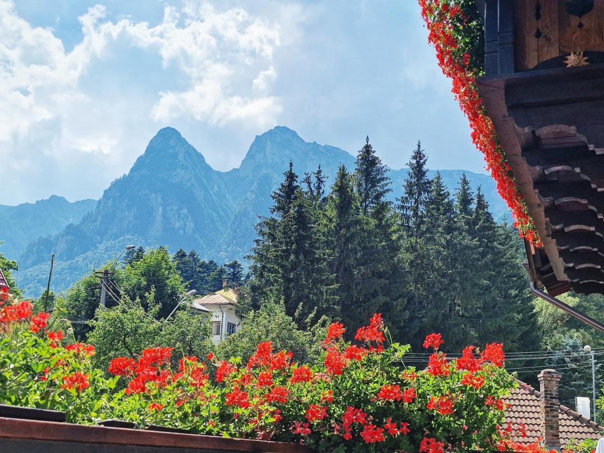 Amor Tirol Busteni (Adults Only) エクステリア 写真