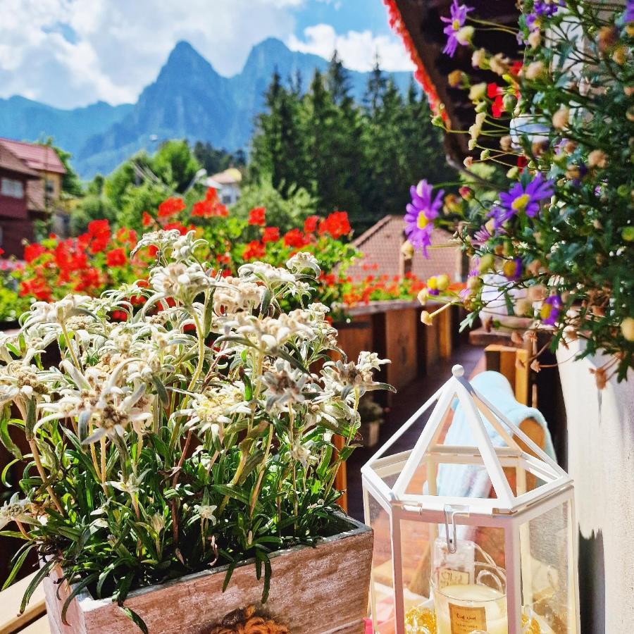 Amor Tirol Busteni (Adults Only) エクステリア 写真