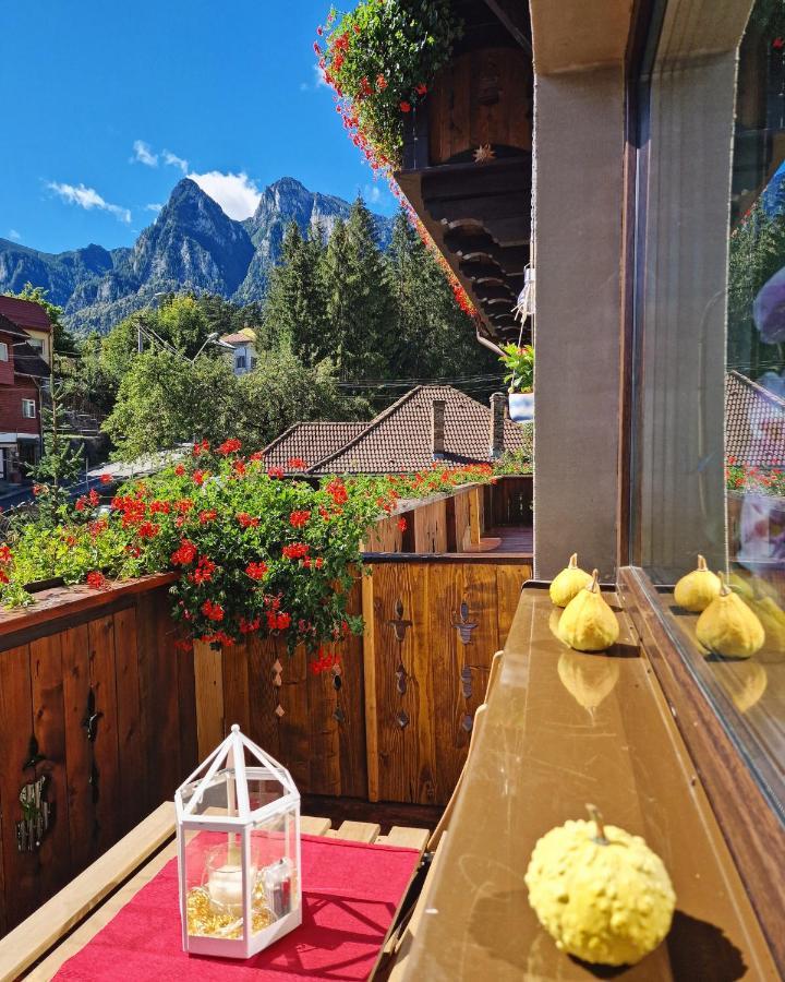 Amor Tirol Busteni (Adults Only) エクステリア 写真