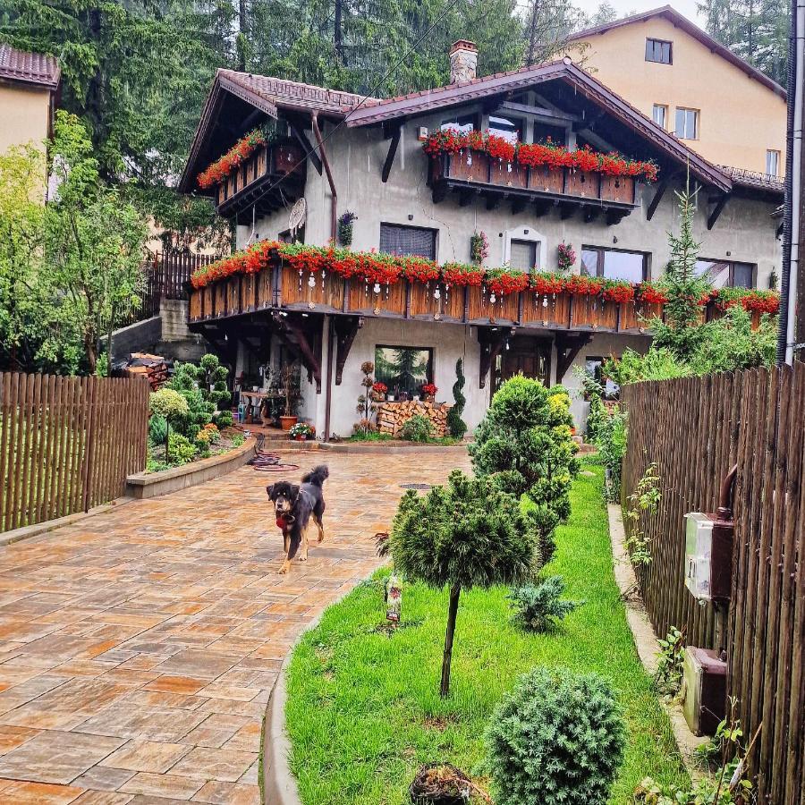 Amor Tirol Busteni (Adults Only) エクステリア 写真