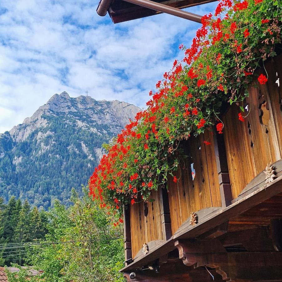 Amor Tirol Busteni (Adults Only) エクステリア 写真