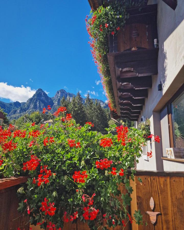 Amor Tirol Busteni (Adults Only) エクステリア 写真
