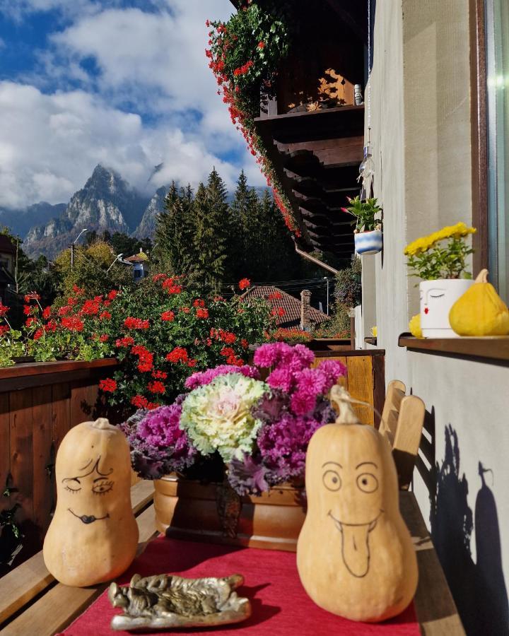 Amor Tirol Busteni (Adults Only) エクステリア 写真