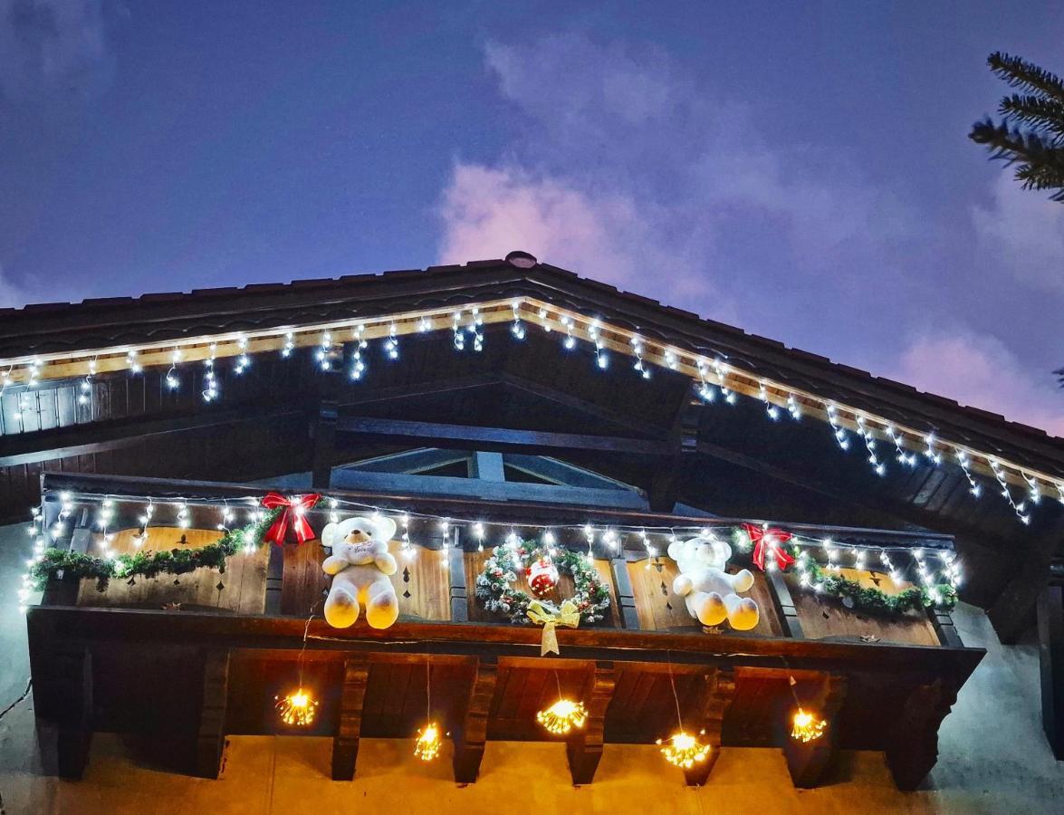 Amor Tirol Busteni (Adults Only) エクステリア 写真